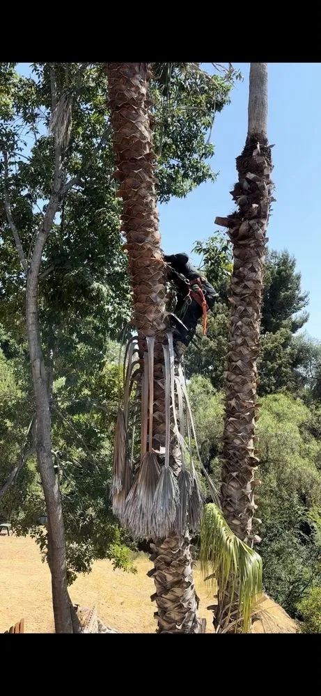 Trusted outdoor landscaping with custom design in San Diego, CA by Pedro Landscape