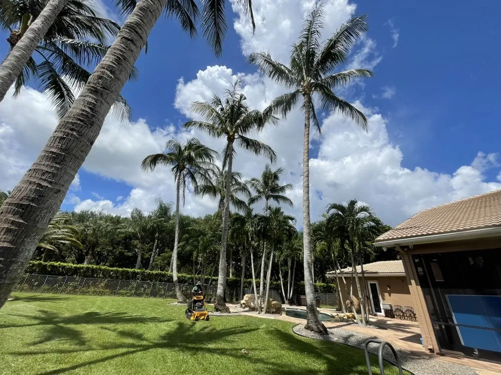 Professional yard maintenance for outdoor upgrades across Lake Worth Beach, FL - Pedro Landscaping Services