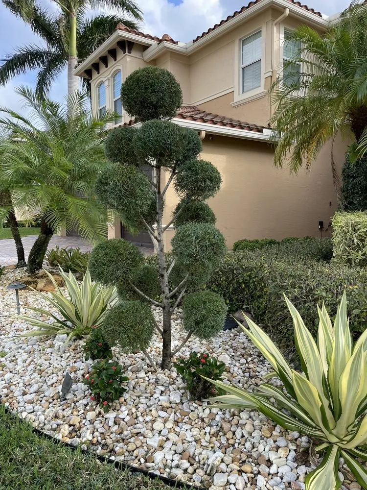 Professional residential landscaping in Lake Worth Beach, FL by Pedro Landscaping Services
