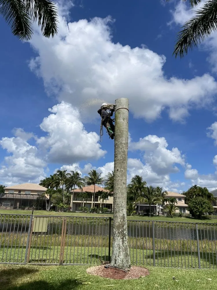 Top-rated lawn mowing service experts serving Lake Worth Beach, FL - Pedro Landscaping Services