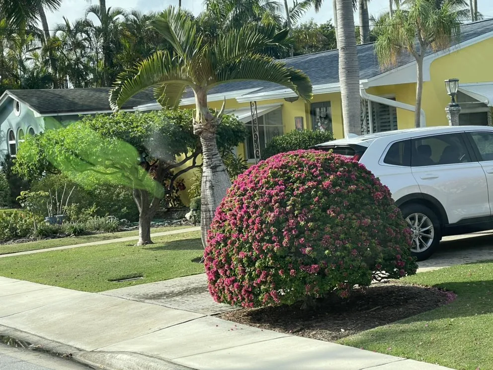 Custom landscape design in Lake Worth Beach, FL - Pedro Landscaping Services