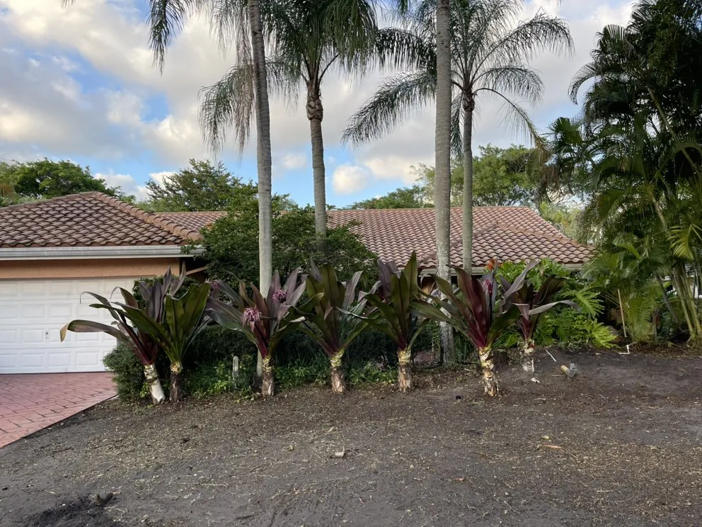 Reliable garden landscaping in Lake Worth Beach, FL - Pedro Landscaping Services