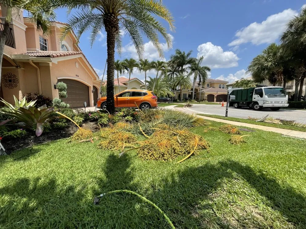 Reliable yard cleanup service in Lake Worth Beach, FL - Pedro Landscaping Services