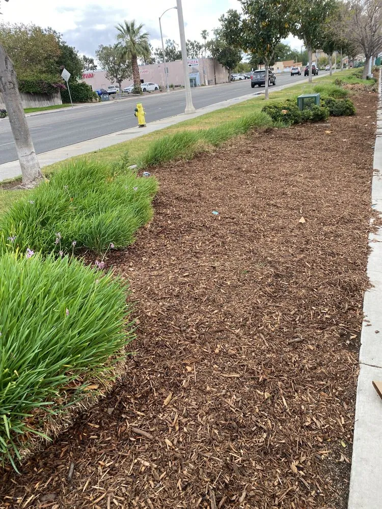 Top-rated garden landscaping experts serving Perris, CA - Pedro Lawn Care