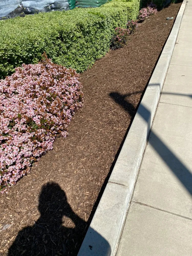 Local lawn care service experts serving Perris, CA - Pedro Lawn Care