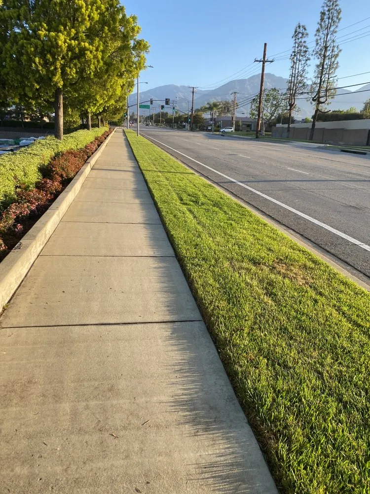 Trusted landscape design with custom design in Perris, CA by Pedro Lawn Care