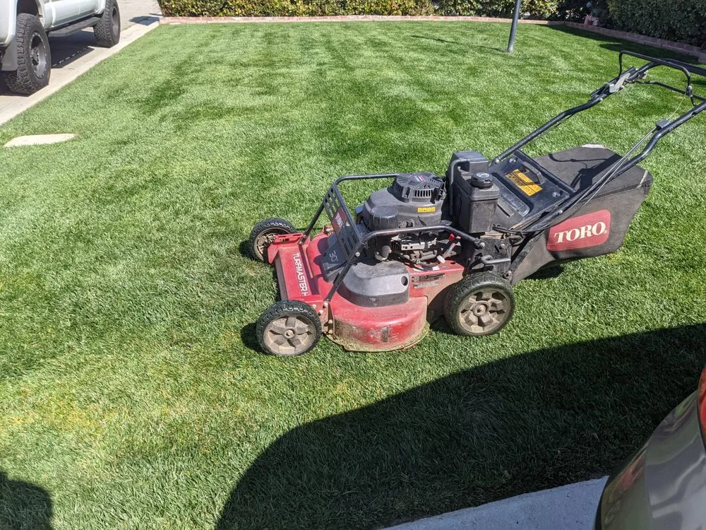 Custom yard maintenance for outdoor upgrades in Perris, CA by Pedro Lawn Care