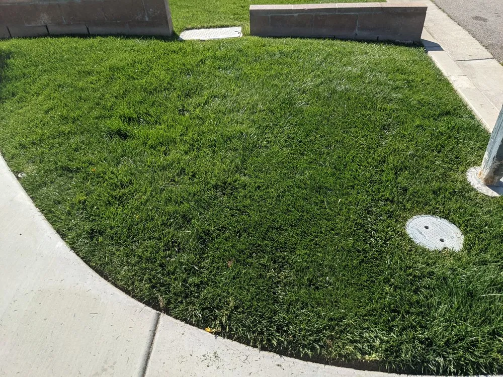 Top-rated landscape design experts serving Perris, CA - Pedro Lawn Care