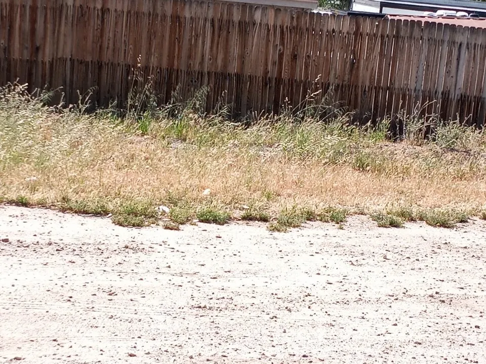 Local lawn care service for homes in Perris, CA by Pedro Lawn Care