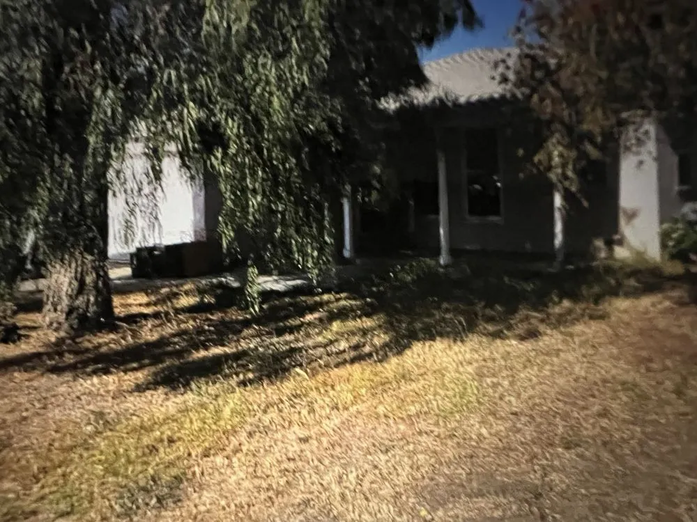 Affordable lawn care service in Oxnard, CA by Pedro Lopez & Sons Maintenance & Landscaping