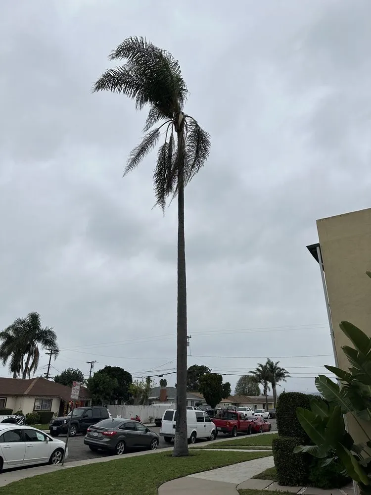 Professional garden landscaping experts serving Oxnard, CA - Pedro Lopez & Sons Maintenance & Landscaping