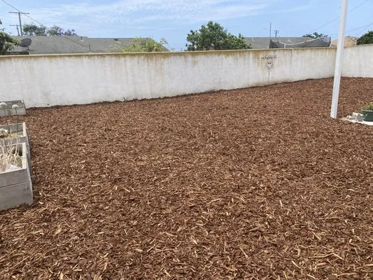 Pedro Lopez & Sons Maintenance & Landscaping Logo