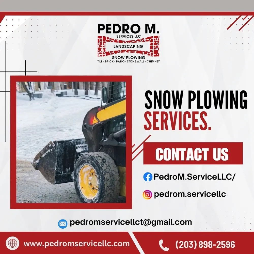 Top-rated yard cleanup service experts serving Stamford, CT - Pedro M Service