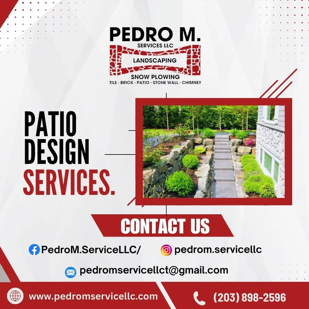 Custom yard cleanup service in Stamford, CT - Pedro M Service