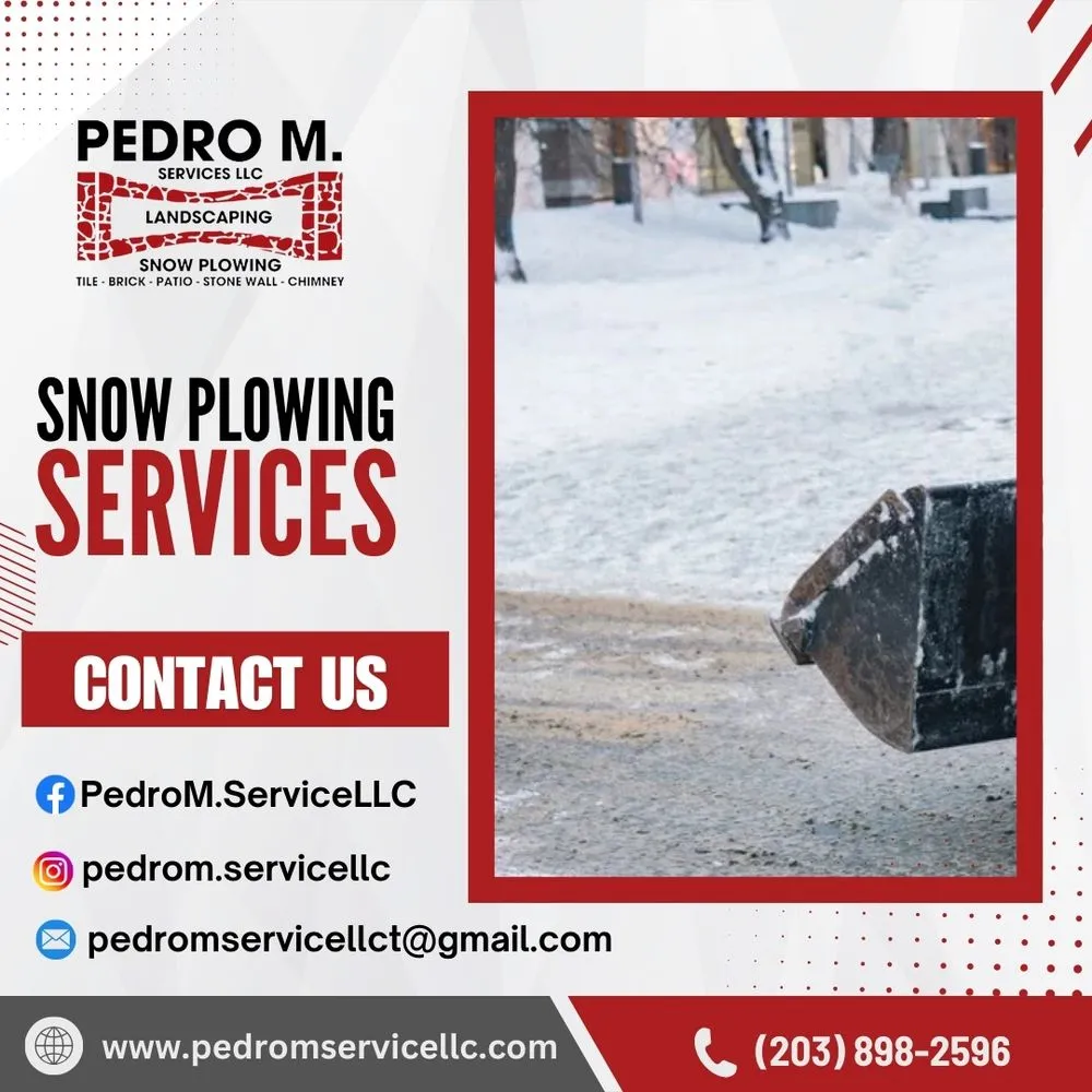 Expert landscape design with custom design in Stamford, CT by Pedro M Service