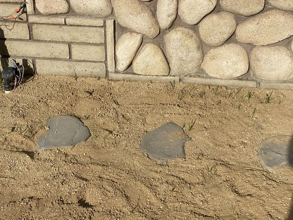 Trusted landscaping services in Corona, CA - Pedro Nicholas Landscaping