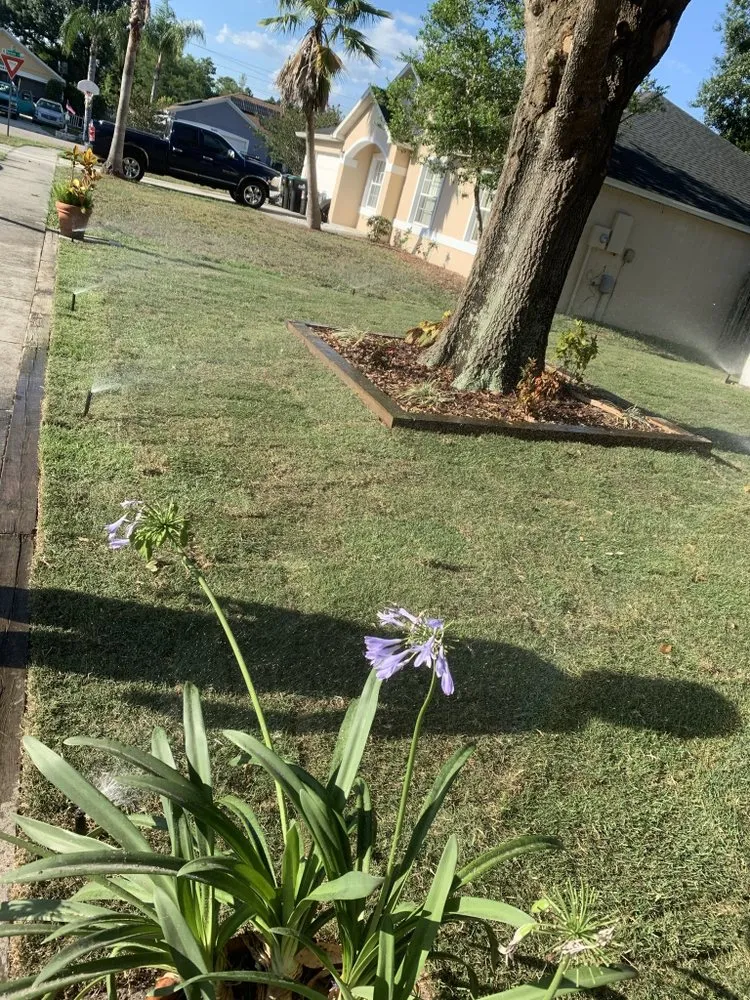 Reliable yard cleanup service for residential properties in Sanford, FL by Pedro Sprinkler Service