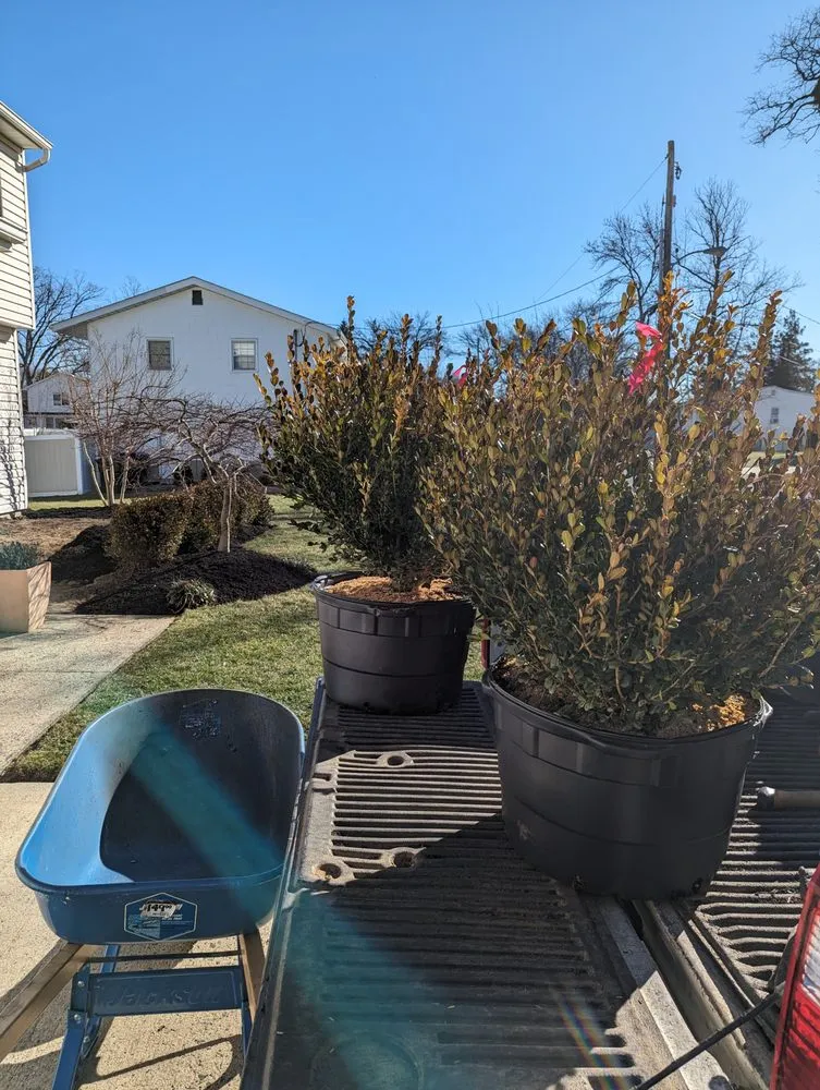 Trusted yard cleanup service in Long Branch, NJ - Pedro Tellez landscaping design