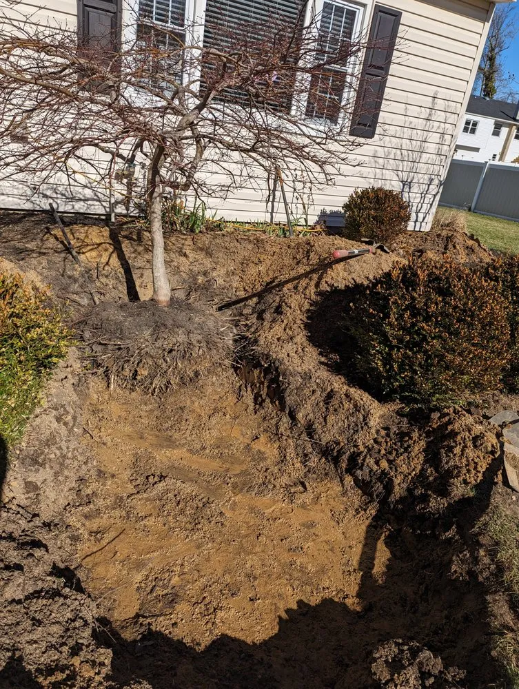 Expert lawn mowing service in Long Branch, NJ by Pedro Tellez landscaping design