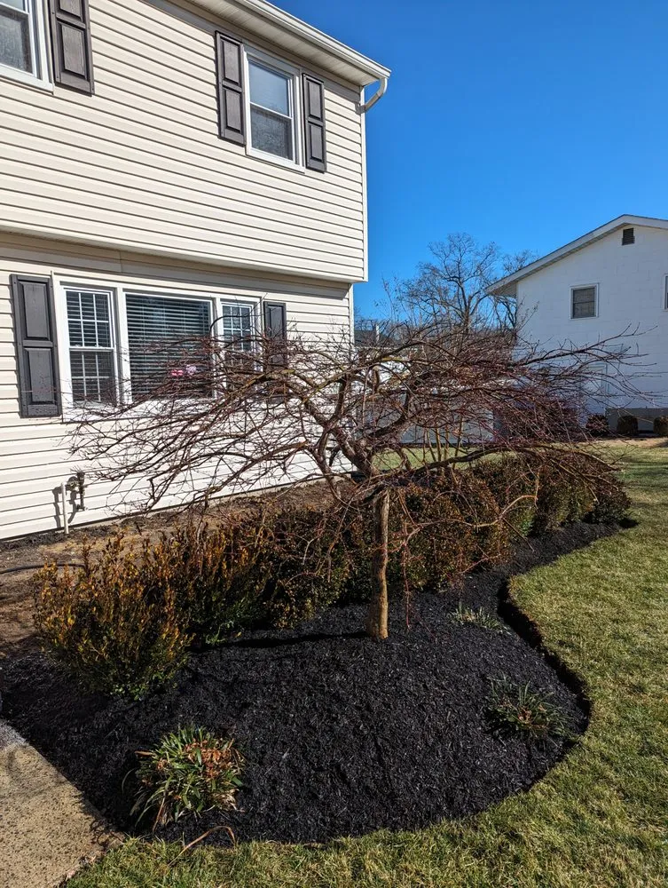 Top-rated residential landscaping for beautiful yards across Long Branch, NJ - Pedro Tellez landscaping design