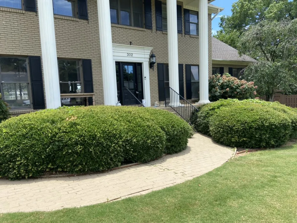 Affordable outdoor landscaping for homes across Fort Payne, AL - Pedro Tree Service & Landscaping