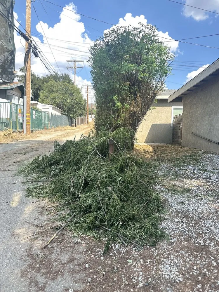 Reliable garden landscaping with custom design across Yucaipa, CA - Pedro's Jr Landscaping