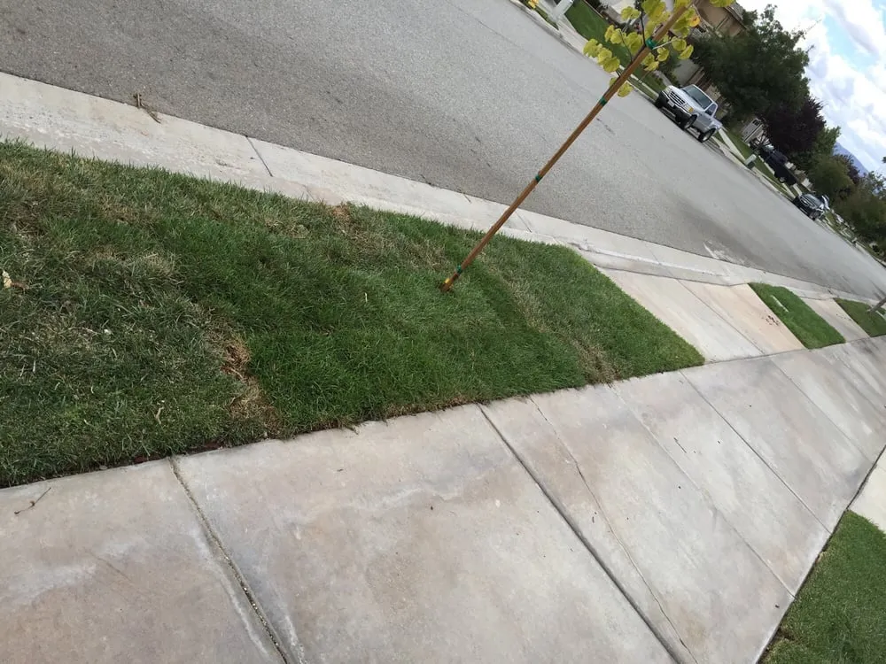 Local lawn mowing service in Yucaipa, CA by Pedro's Jr Landscaping
