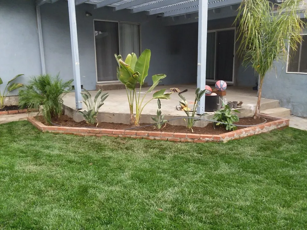 Affordable landscaping services for homes in Yucaipa, CA by Pedro's Jr Landscaping