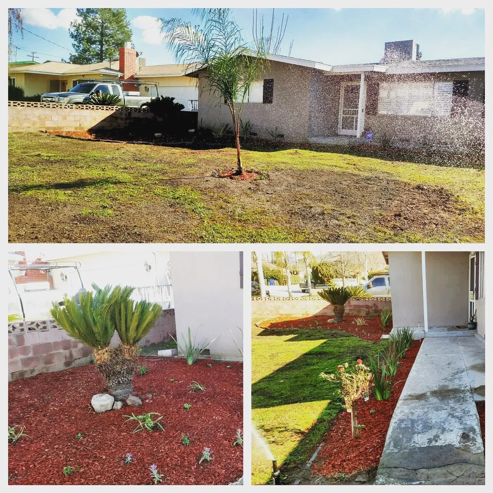 Top-rated landscape design experts serving Yucaipa, CA - Pedro's Jr Landscaping