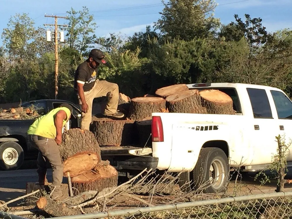 Reliable outdoor landscaping in Yucaipa, CA by Pedro's Jr Landscaping