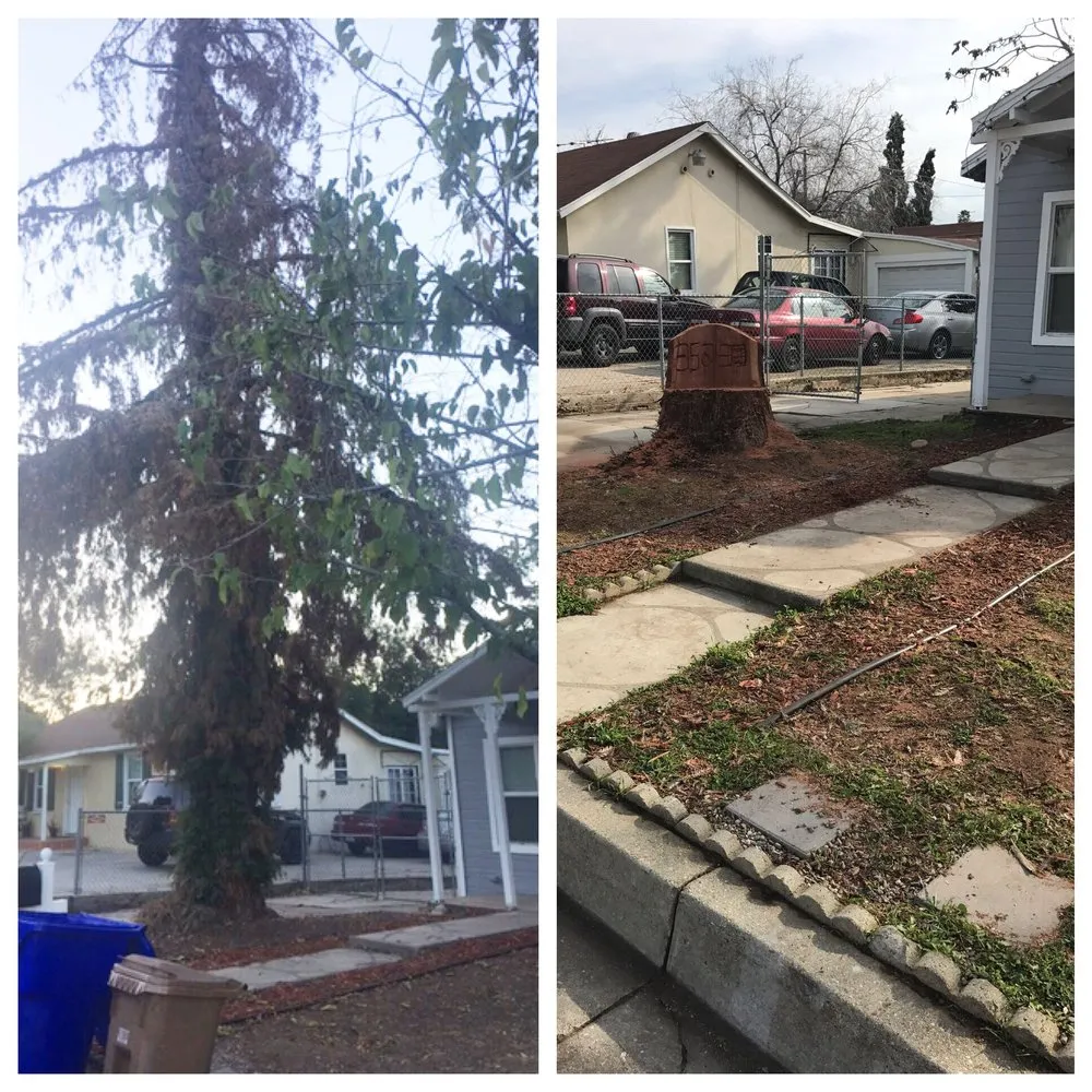 Expert lawn care service in Yucaipa, CA - Pedro's Jr Landscaping