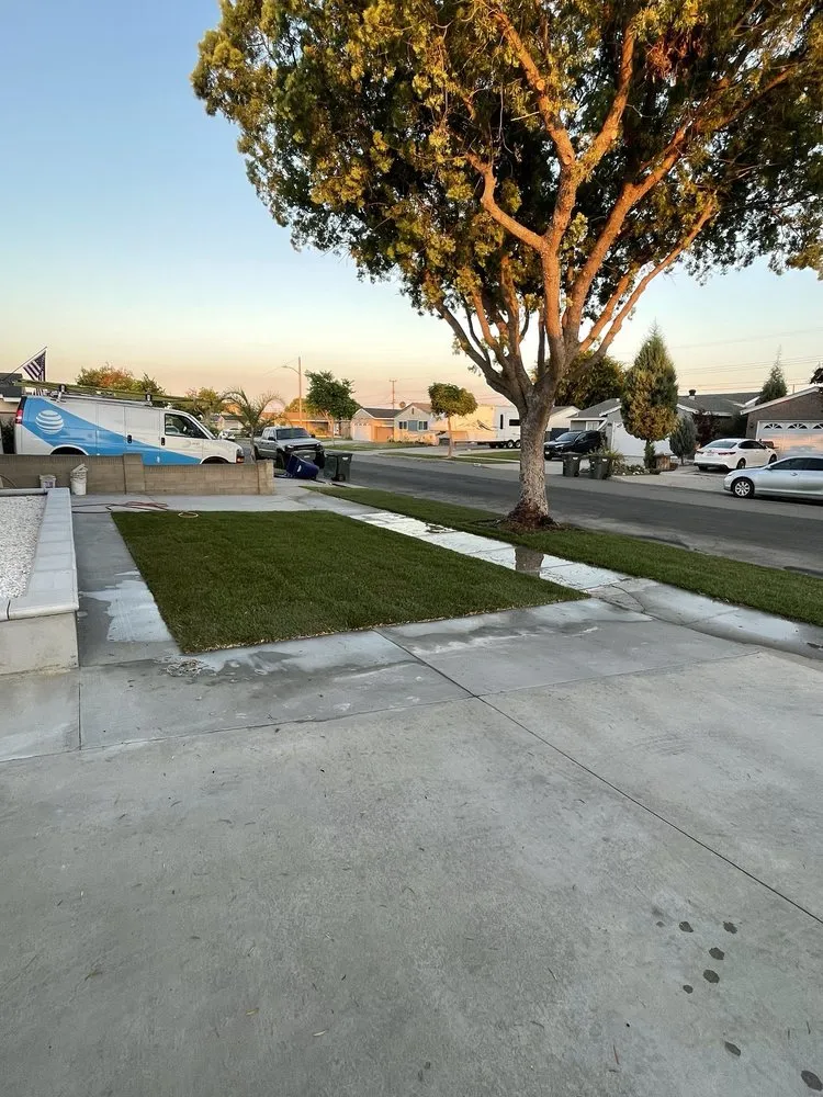 Trusted landscaping services for beautiful yards in Hesperia, CA by Pedro's Landscape