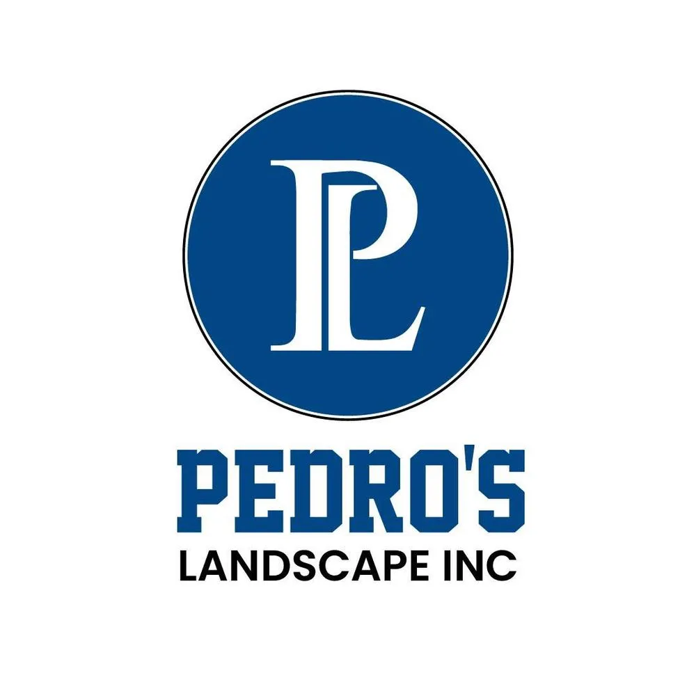 Local yard maintenance experts serving Hesperia, CA - Pedro's Landscape