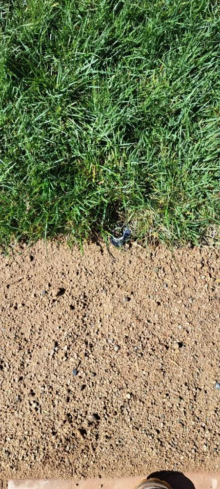 Expert garden landscaping near you across Hesperia, CA - Pedro's Landscape