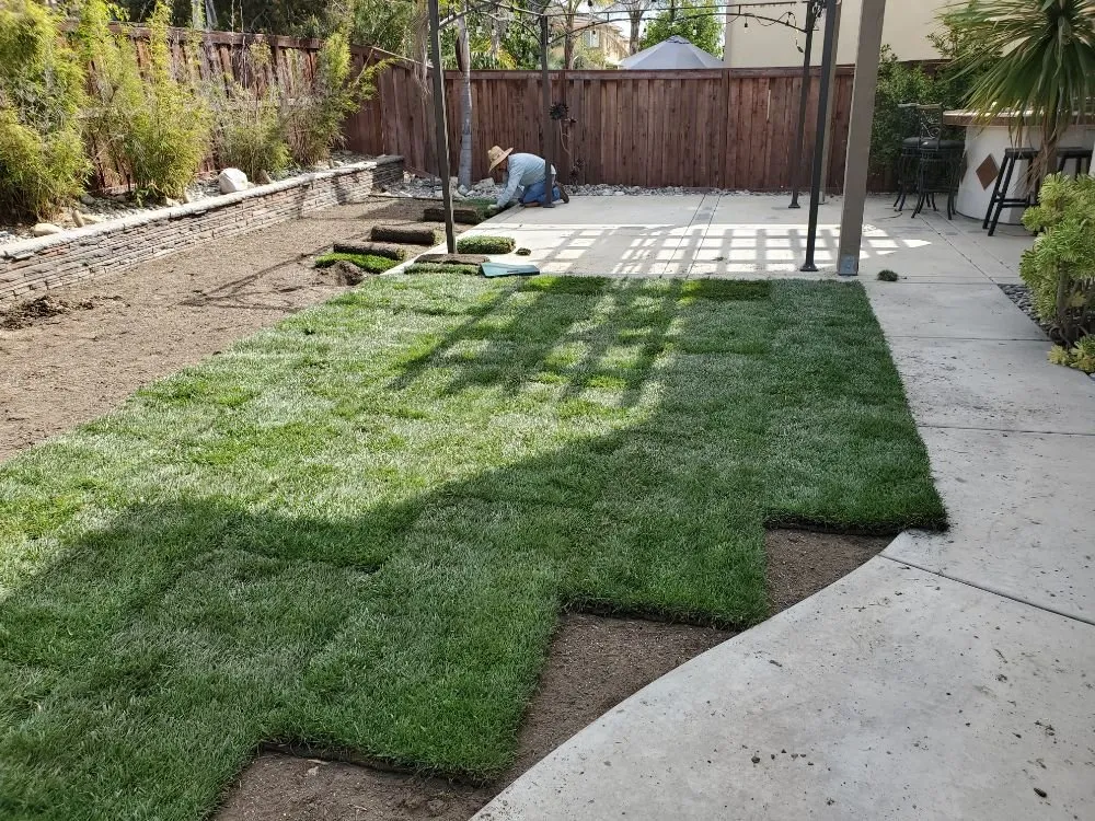 Top-rated landscaping services experts serving Hesperia, CA - Pedro's Landscape