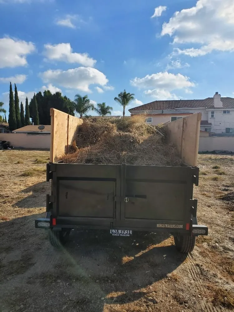 Expert yard cleanup service experts serving Hesperia, CA - Pedro's Landscape