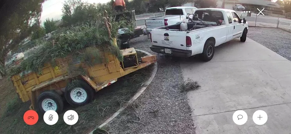 Trusted lawn care service experts serving Hesperia, CA - Pedro's Landscape