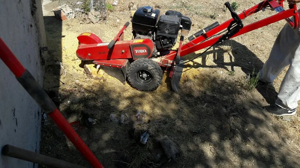 Expert landscape installation in Hesperia, CA by Pedro's Landscape