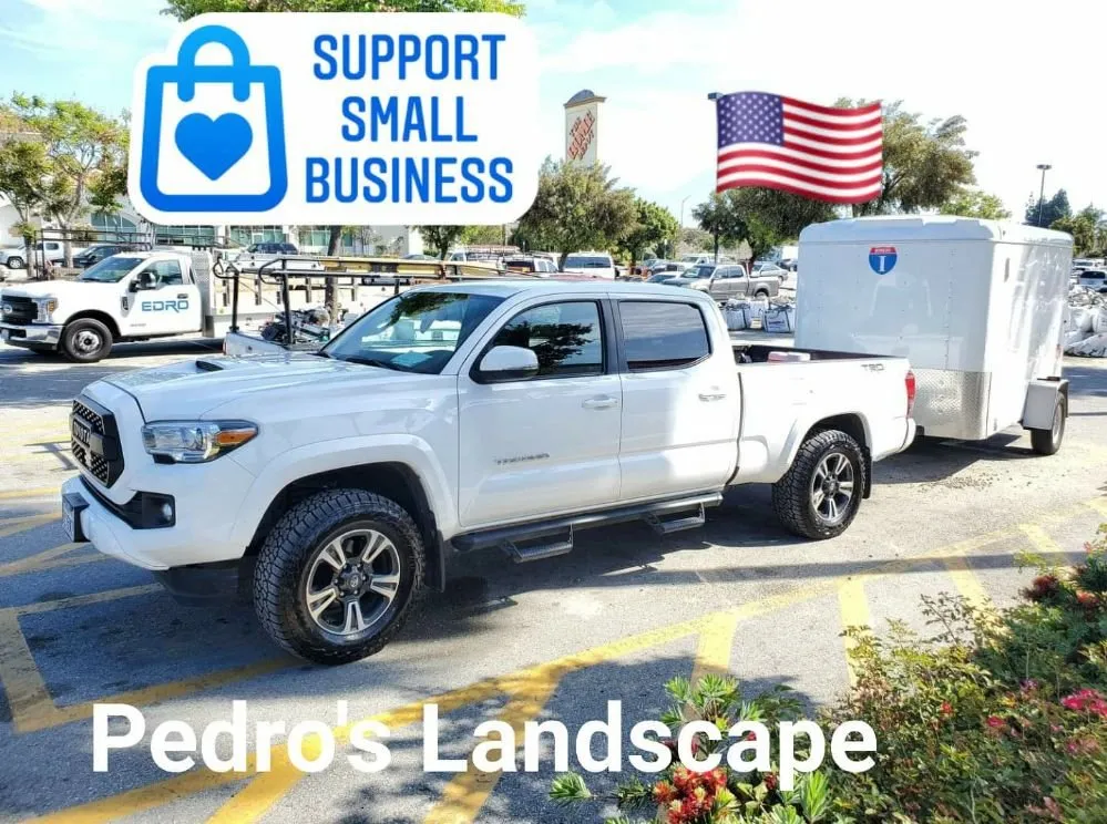 Expert lawn care service near you across Hesperia, CA - Pedro's Landscape