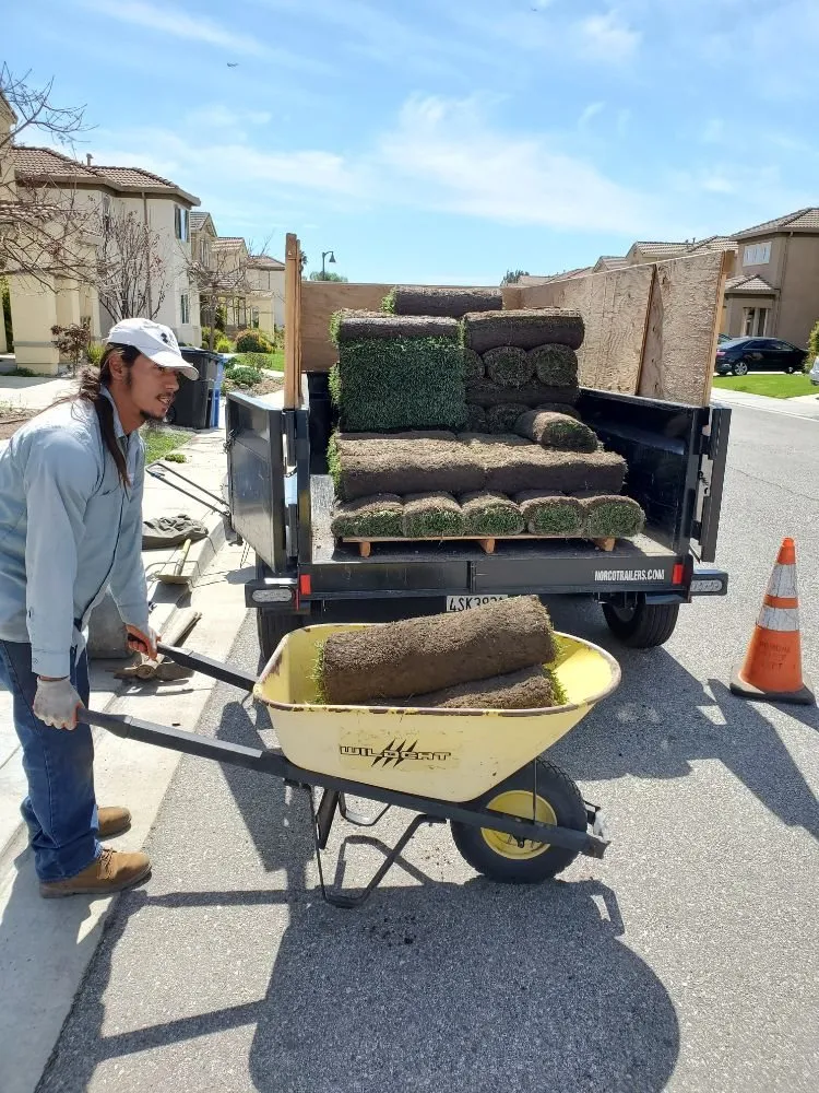 Top-rated yard maintenance in Hesperia, CA by Pedro's Landscape