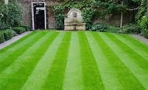 Affordable lawn mowing service experts serving Bradenton, FL - Pedro's Landscaping