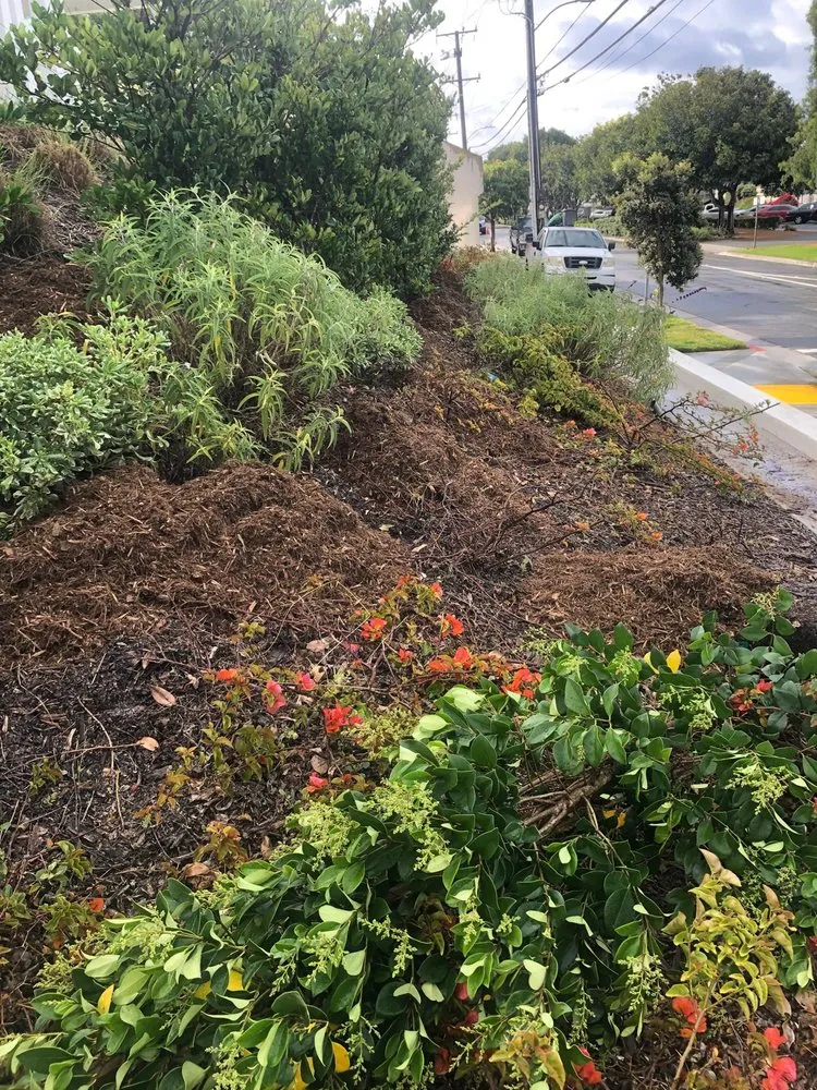 Top-rated landscape design experts serving Inglewood, CA - Pedro´s Landscaping