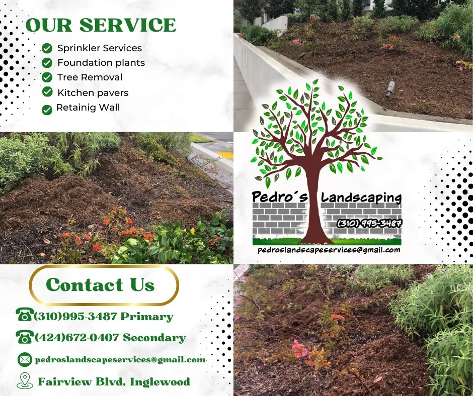 Affordable garden landscaping for residential properties in Inglewood, CA by Pedro´s Landscaping