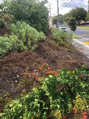 Pedro´s Landscaping Logo