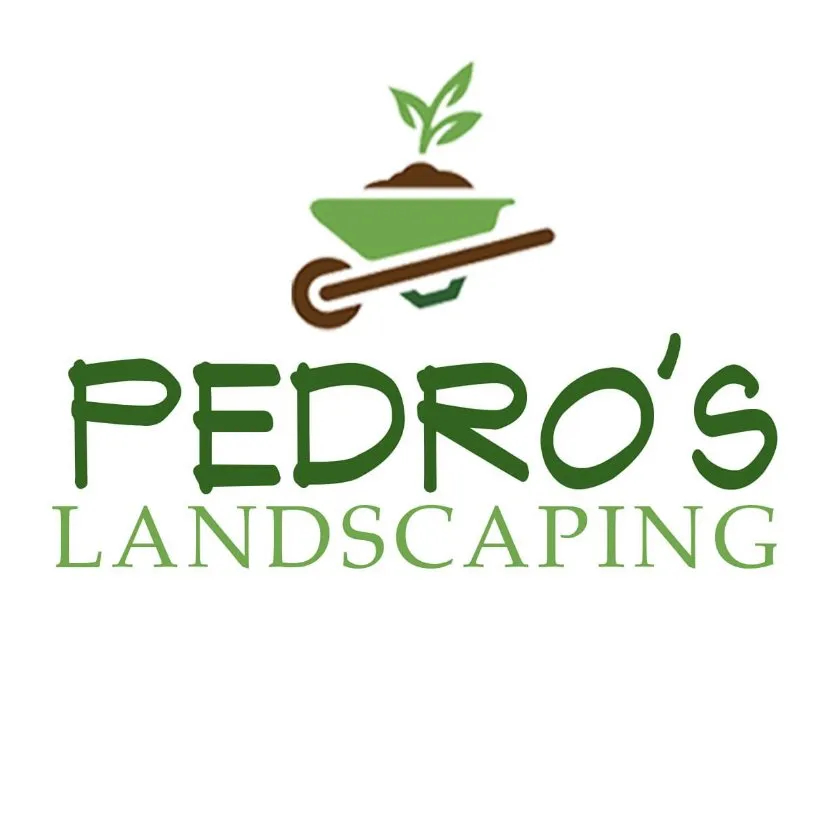 Local yard cleanup service for year-round maintenance across Laurens, SC - Pedro’s Landscaping