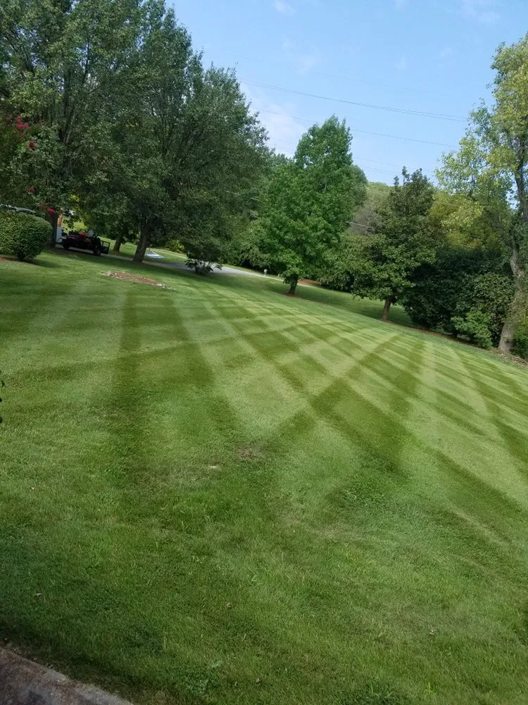 Custom landscape design for outdoor upgrades across Nashville, TN - Pedro’s Landscaping