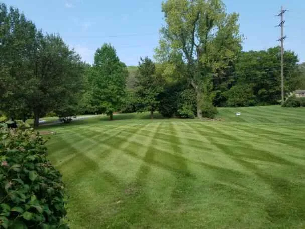 Affordable outdoor landscaping in Nashville, TN - Pedro’s Landscaping