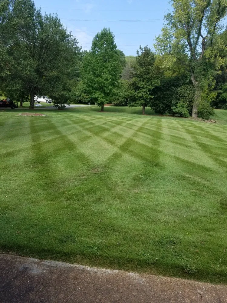 Affordable landscaping services in Nashville, TN by Pedro’s Landscaping