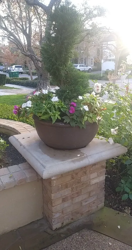 Affordable yard maintenance experts serving San Juan Capistrano, CA - Pedros Landscaping