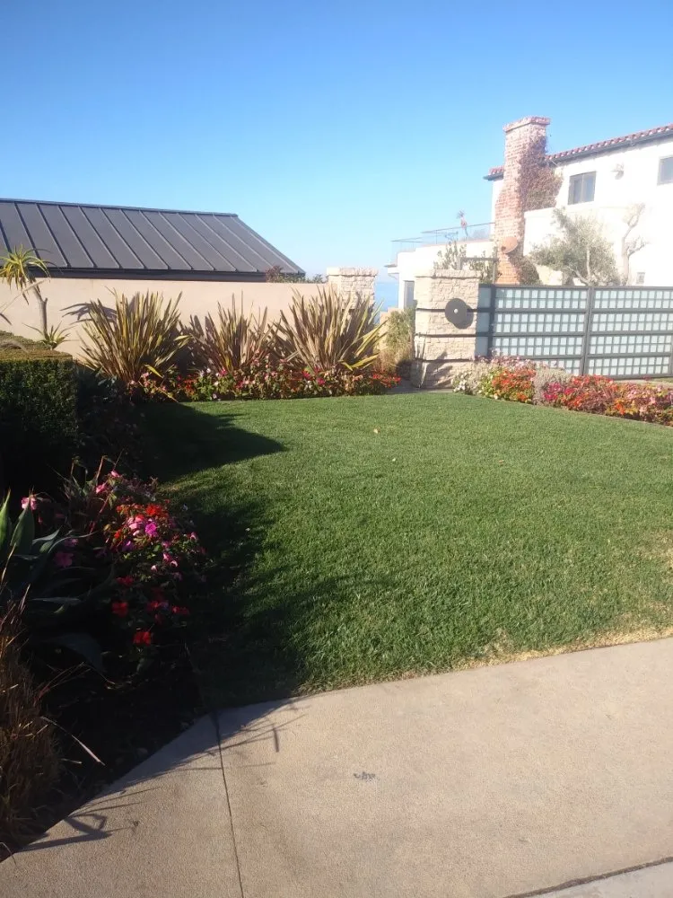 Trusted yard maintenance in San Juan Capistrano, CA by Pedros Landscaping